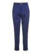 Changeant stretch pants