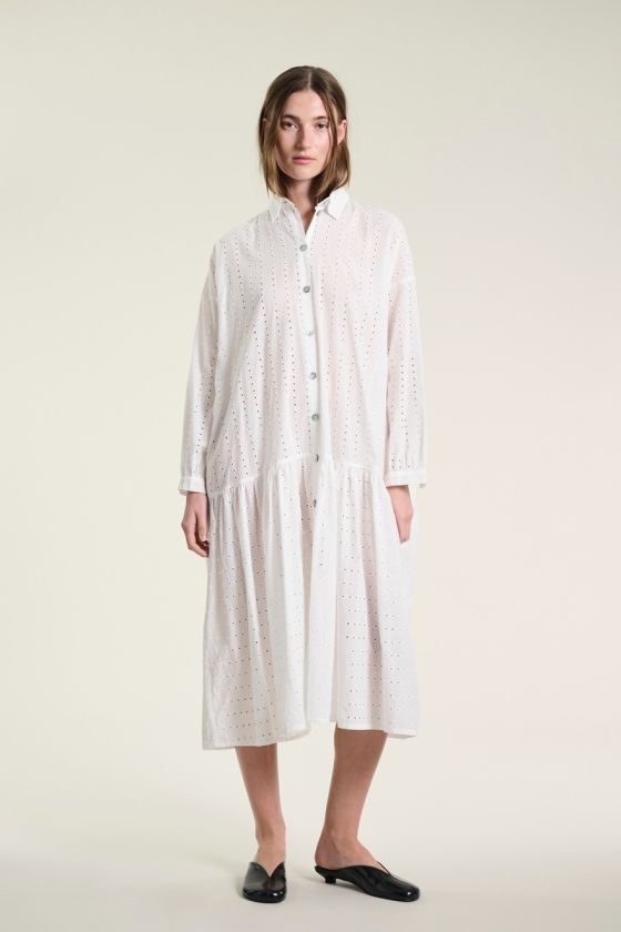 Shushu dress